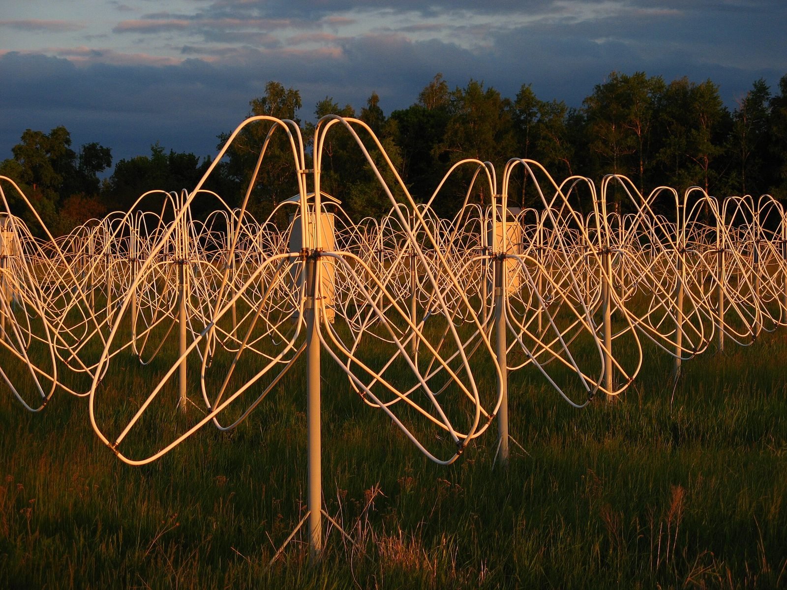 Dipoles in the GURT radio-telescope array