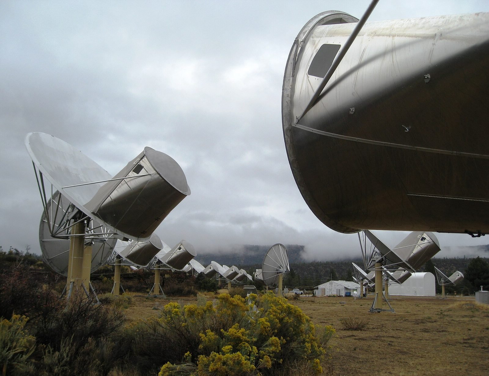 The Allen Telescope Array
